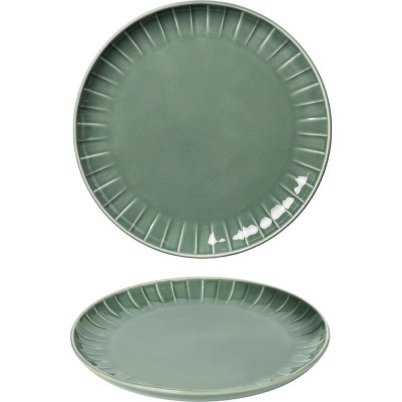 Qualitier ABSOLUTE ŠĶĪVIS 21CM PAPARDES ZAĻŠ, Qualitier